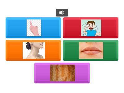 南排-身體部位-中級-圖片版