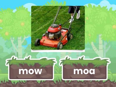 Long 'o' (ow, oa) Quiz (1)