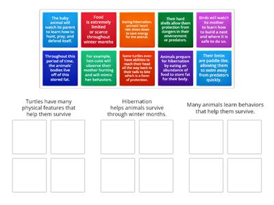 Main Idea and Supporting Statement Sort