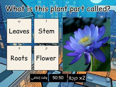  Plant Parts and Functions