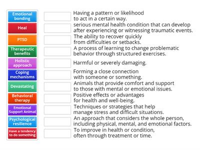 language support (psycology vocabulary matching)