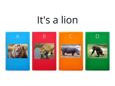 Wild Animals Quiz