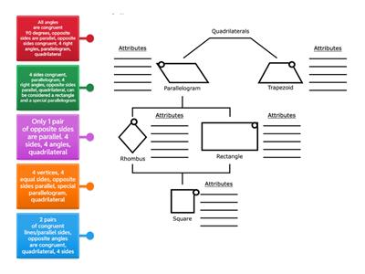 Attributes of Quadrilaterals