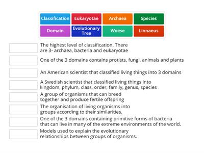 Classification Match Up