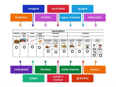 dai un nome agli invertebrati