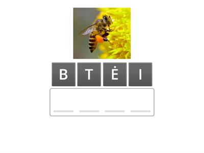 Paveikslėlis-žodis-raidės