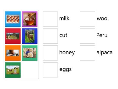 Power Up 1 Unit 3 Cross Curricular
