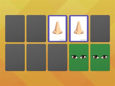 Five Senses Memory Game 