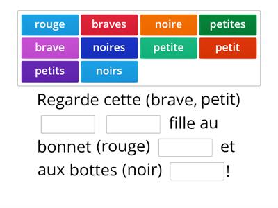 Féminin et pluriel des adjectifs