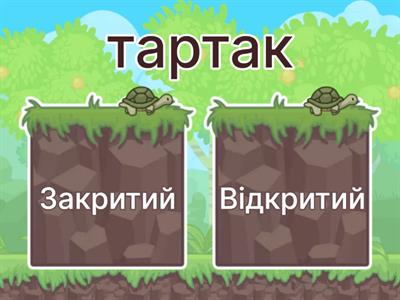 Закритий чи відкритий склад?