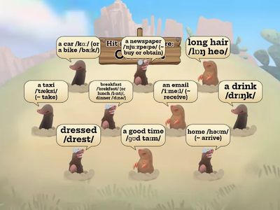 Expressions with "HAVE"