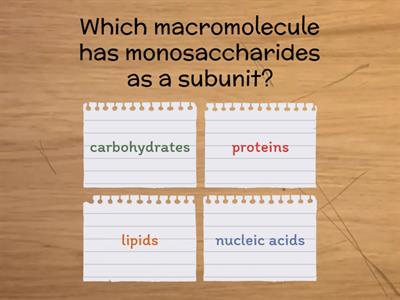 MACROmolecules 