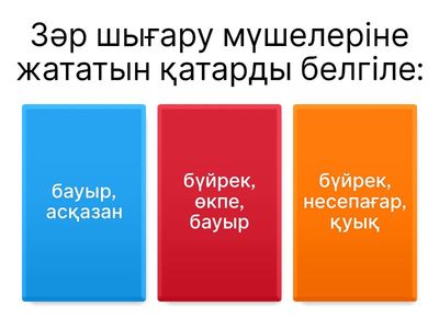 Зәр шығару жүйесі қалай жұмыс істейді?