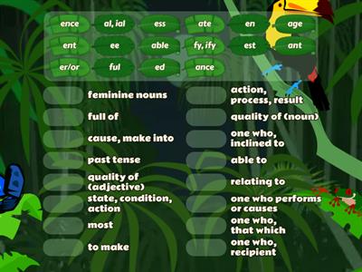 Suffix Assessment (IMSE Pt. 1)