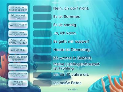 вопрос-ответ 