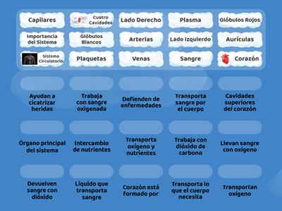 Sistema circulatorio