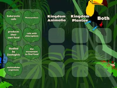5th Science Kingdom Chart