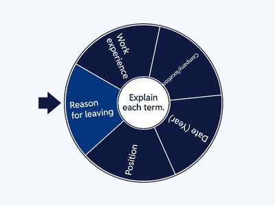 Filling in the Work experience section: Spin the wheel