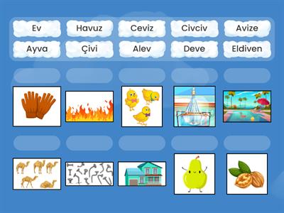 'V' SESİ İLE VERİLEN GÖRSELLERLE KELİMELERİ EŞLEŞTİRELİM