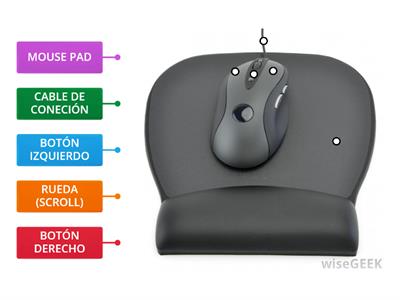 PARTES DEL MOUSE