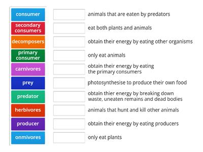 Energy in ecosystems Nat 5 Biology