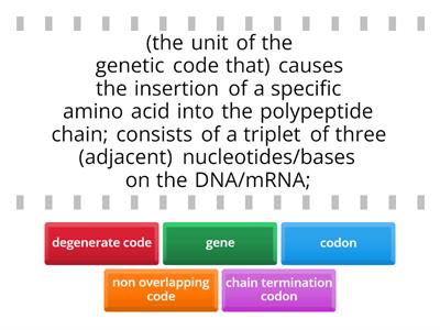 Match up - Genetic code terminology