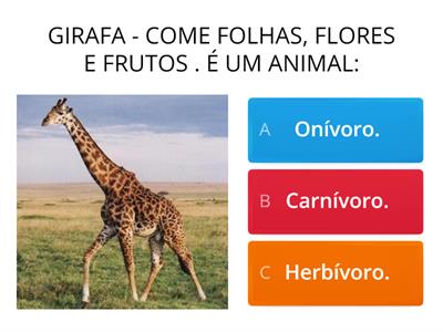 JOGO - ALIMENTAÇÃO DOS ANIMAIS 