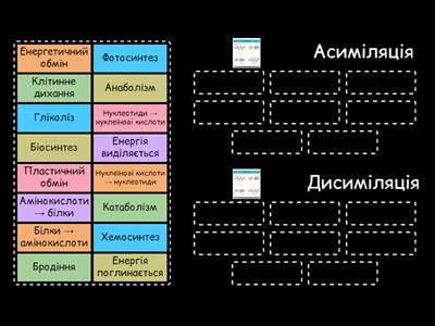 Обмін речовин (метаболізм)