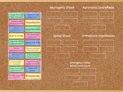 Spinal Cord Injury: Assessment and Interventions