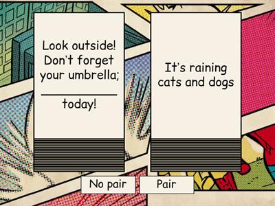 idiom in the sentence. Pair or Not