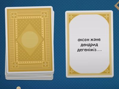 жүйке жүйесі