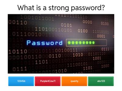 Digital Skills Review 