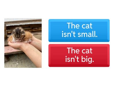 Negative Contractions Quiz