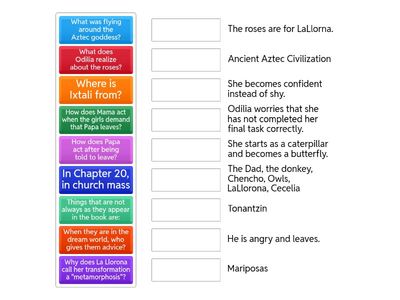 SOM Chap 16-22 Review