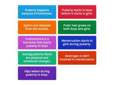 CAX KS3 True or false puberty 