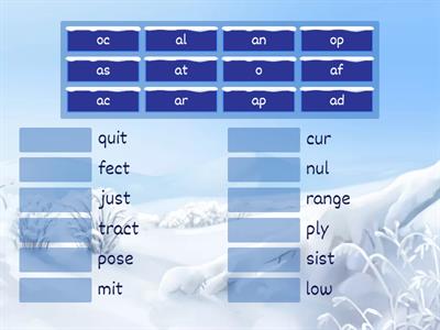 10.4 Prefix to Latin Root Match Up