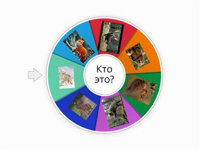 Дикие животные