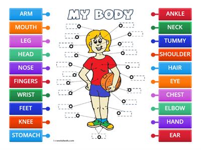 MY BODY by Teacher Paola