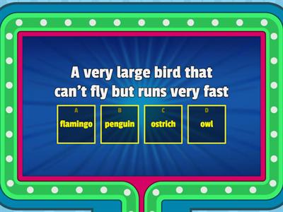 Animal quiz