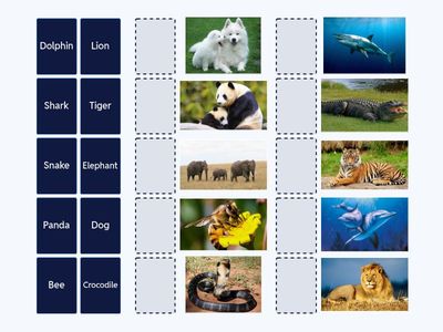 Thế giới động vật-Animals