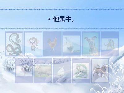 ЛК2 3у 他属什么？