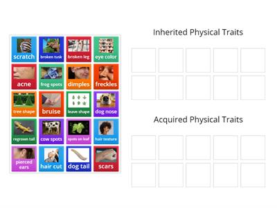 Inherited and Acquired Physical Traits