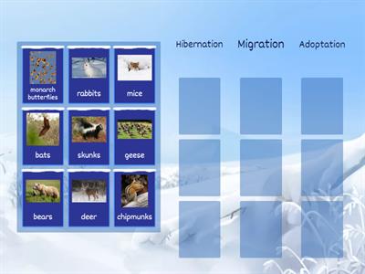 Hibernation, Migration and Adaptation