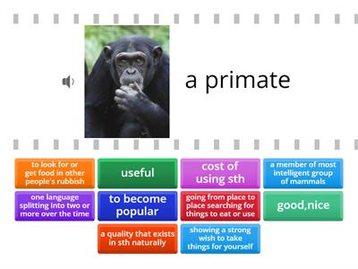 listeninenglish.com The Origines of Language  