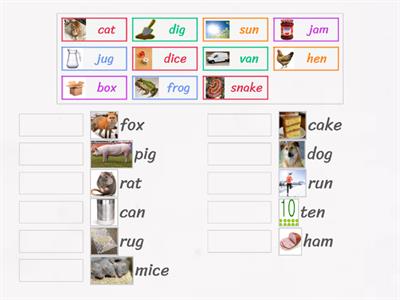 Rhyming cvc words (phonics phase 2)