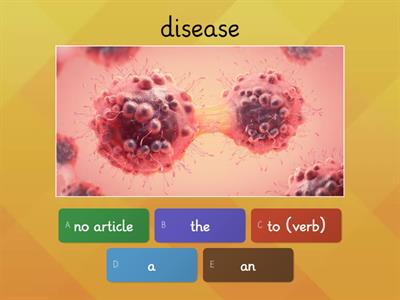 Unit 7.1 vocab articles ( quiz simple)