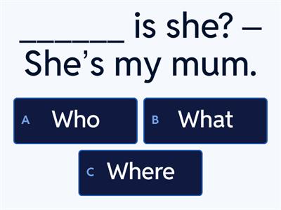 Who, what, where, how many