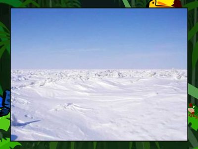 Controlled -r Fruit Splat