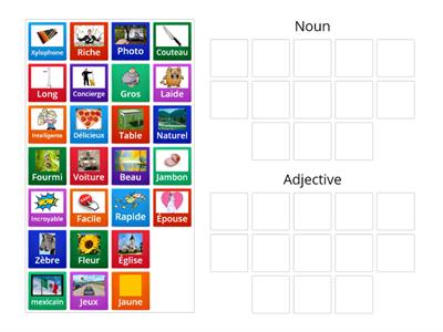 Nom ou adjectif ? 