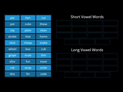 Long Vowel Short Vowel Sort